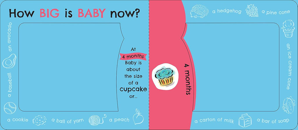 How Big Is Baby Now?: A New Baby Gift Book for Big Brothers and Big Sisters (Baby Shower Gift)