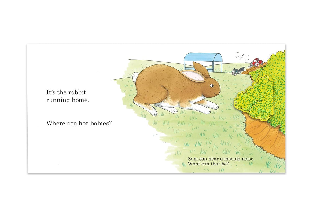 Noisy Farm: A lift-the-flap book (Preloved)