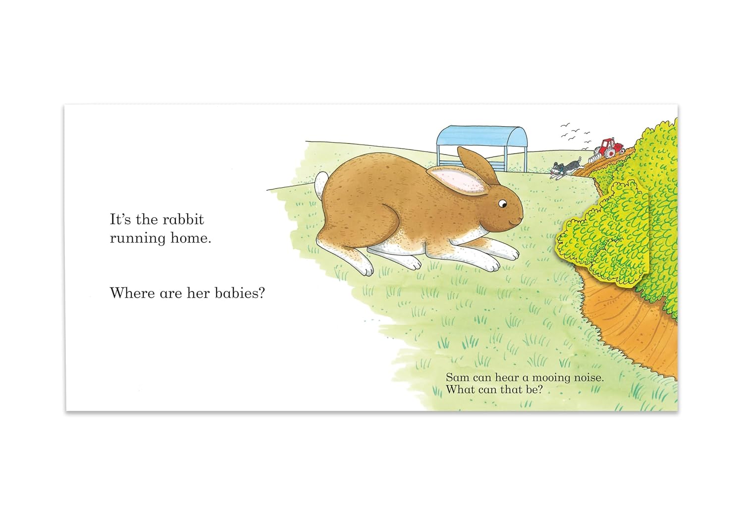 Noisy Farm: A lift-the-flap book (Preloved)