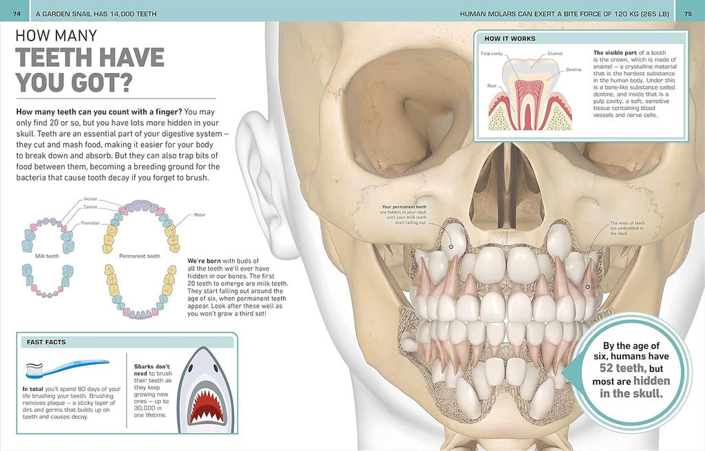It Can't Be True! Human Body!: 1,000 Amazing Facts About You
