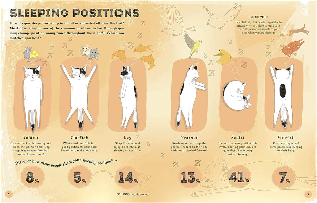 The Magic of Sleep: A fascinating guide to the world of slumber