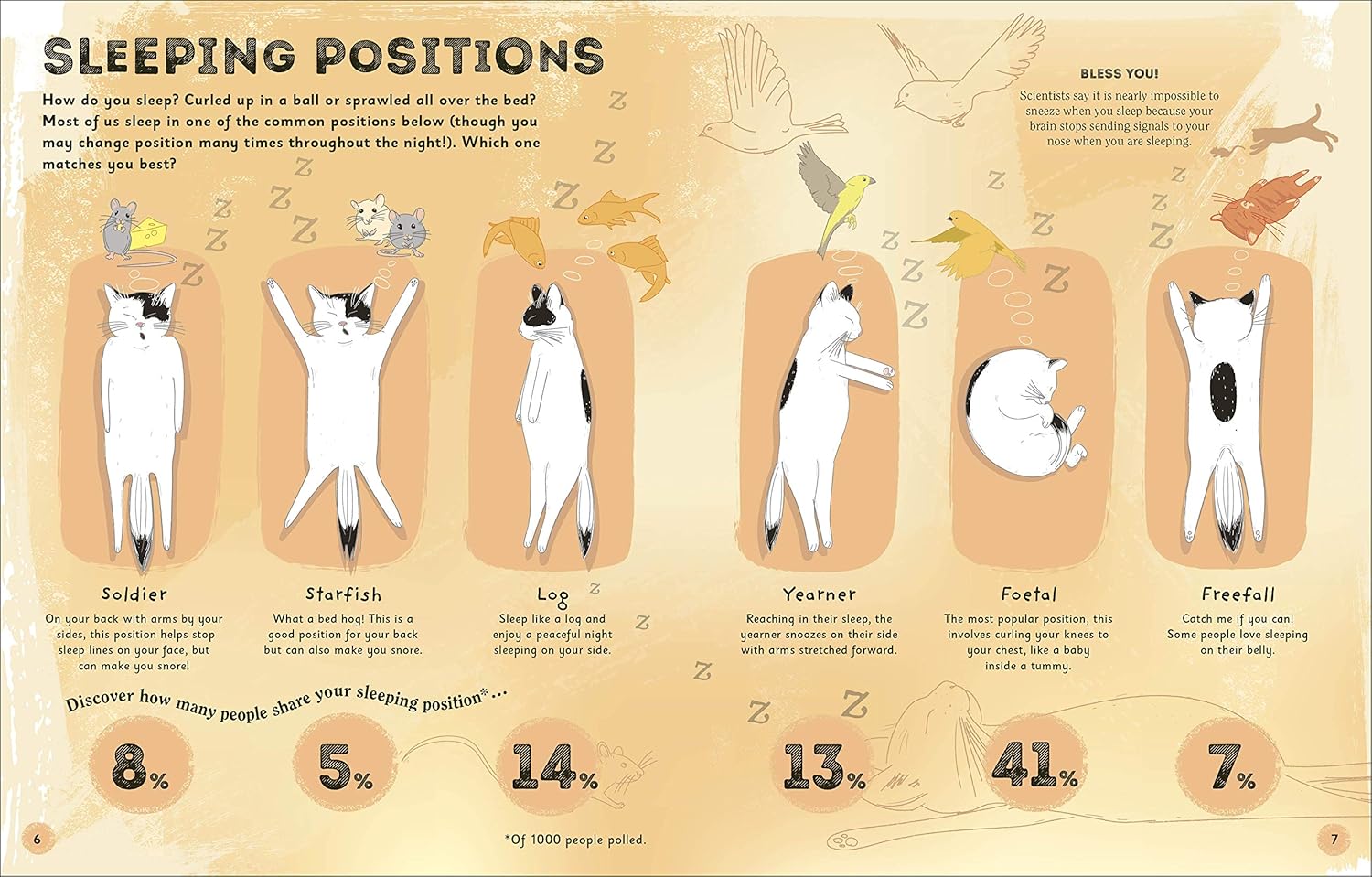 The Magic of Sleep: A fascinating guide to the world of slumber