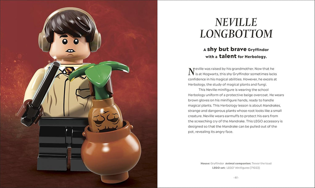 LEGO Harry Potter The Magical Guide to the Wizarding World