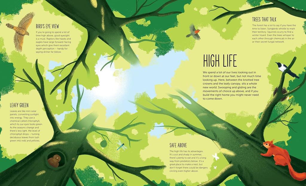 High: Soar to New Heights