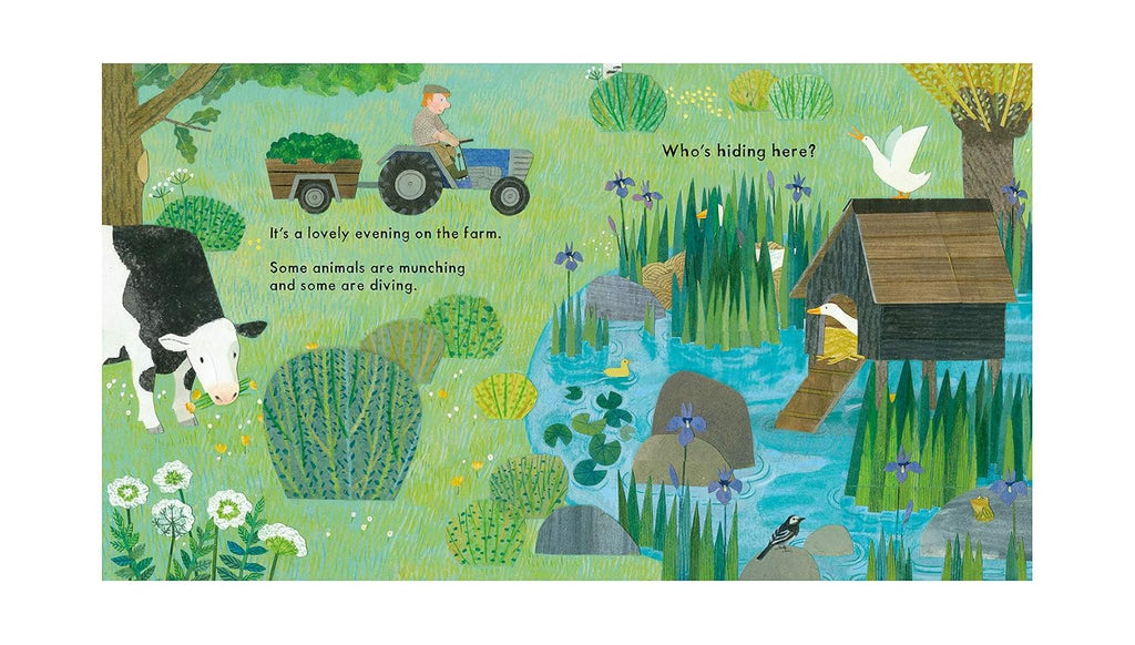 National Trust: Who's Hiding on the Farm? (Who's Hiding Here?)