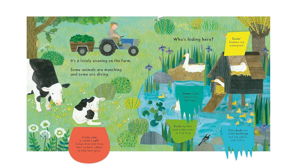National Trust: Who's Hiding on the Farm? (Who's Hiding Here?)