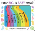 How Big Is Baby Now?: A New Baby Gift Book for Big Brothers and Big Sisters (Baby Shower Gift)