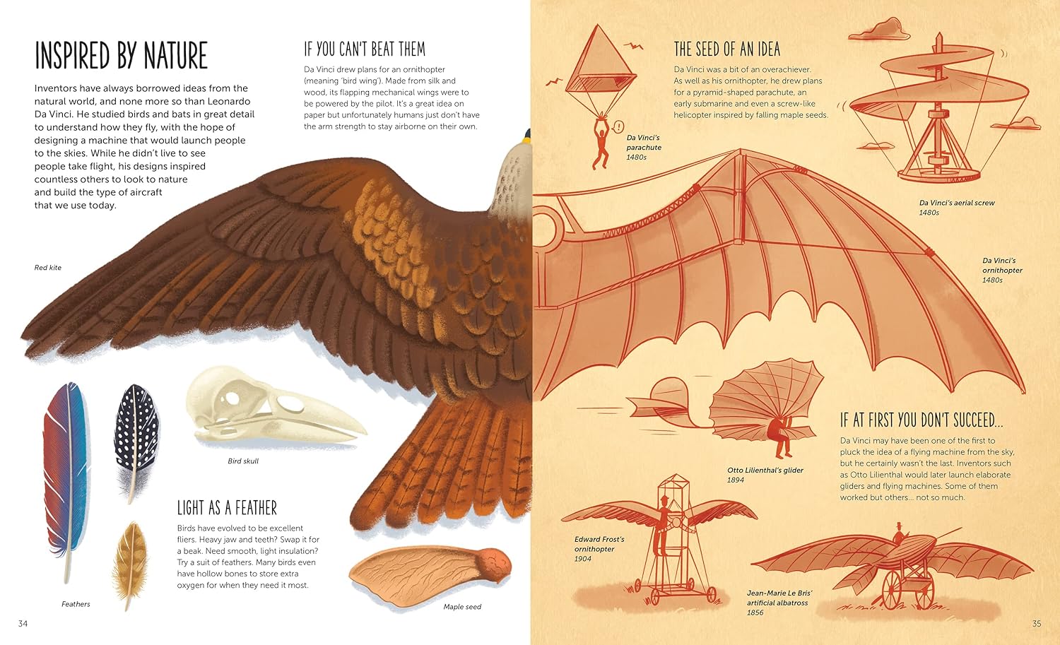 High: Soar to New Heights