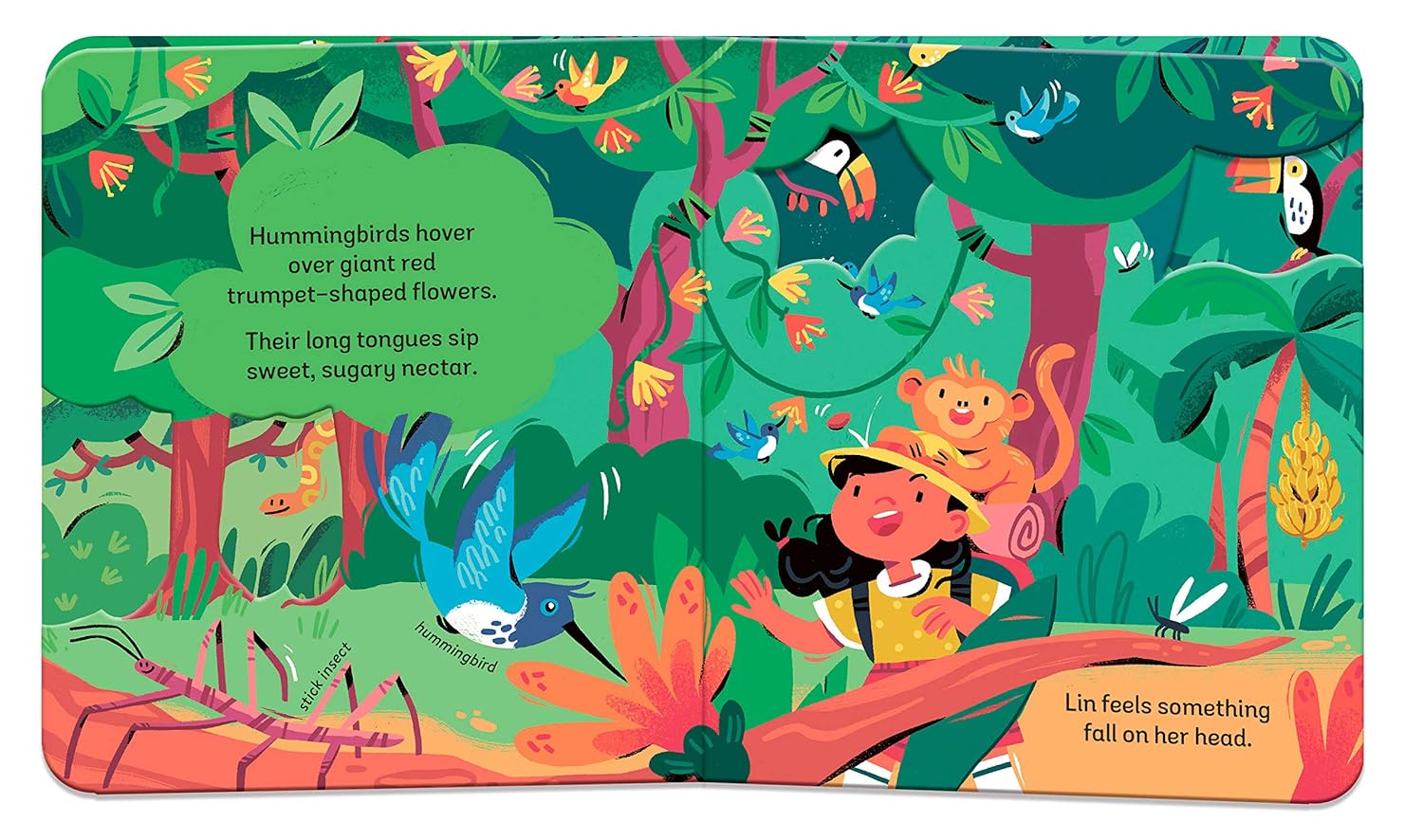 Zoom: Rainforest Adventure