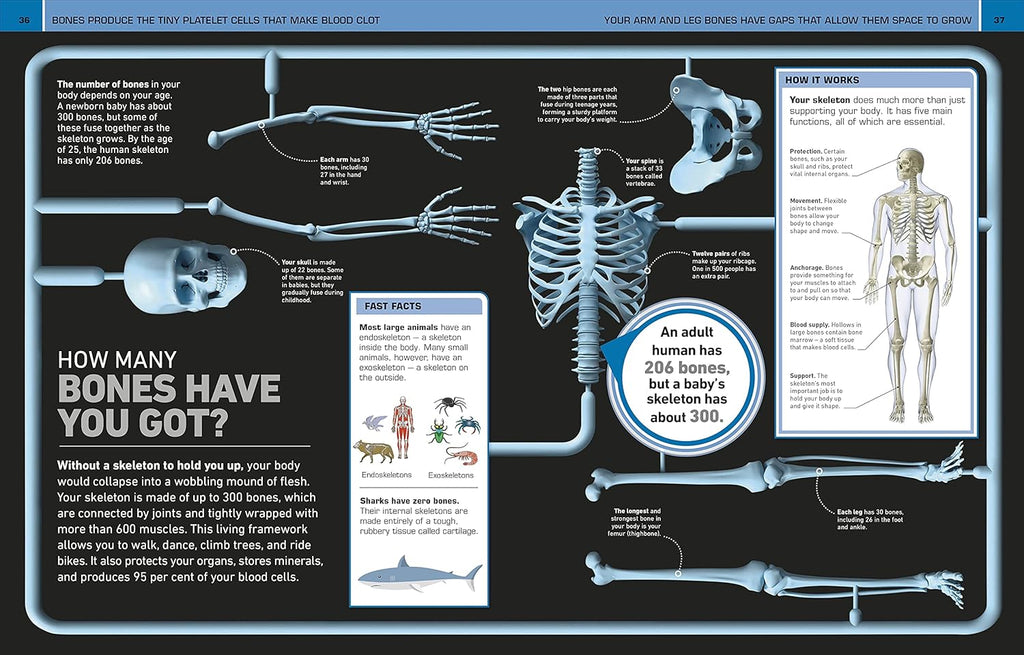 It Can't Be True! Human Body!: 1,000 Amazing Facts About You