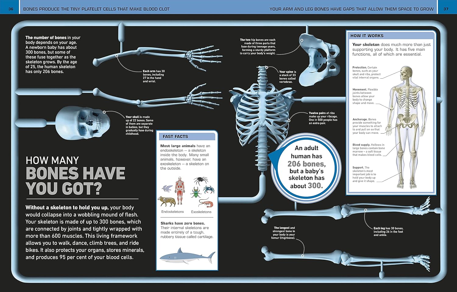 It Can't Be True! Human Body!: 1,000 Amazing Facts About You