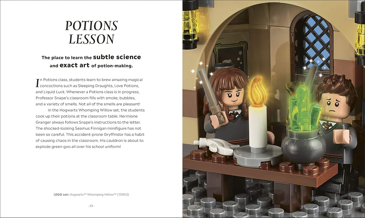 LEGO Harry Potter The Magical Guide to the Wizarding World