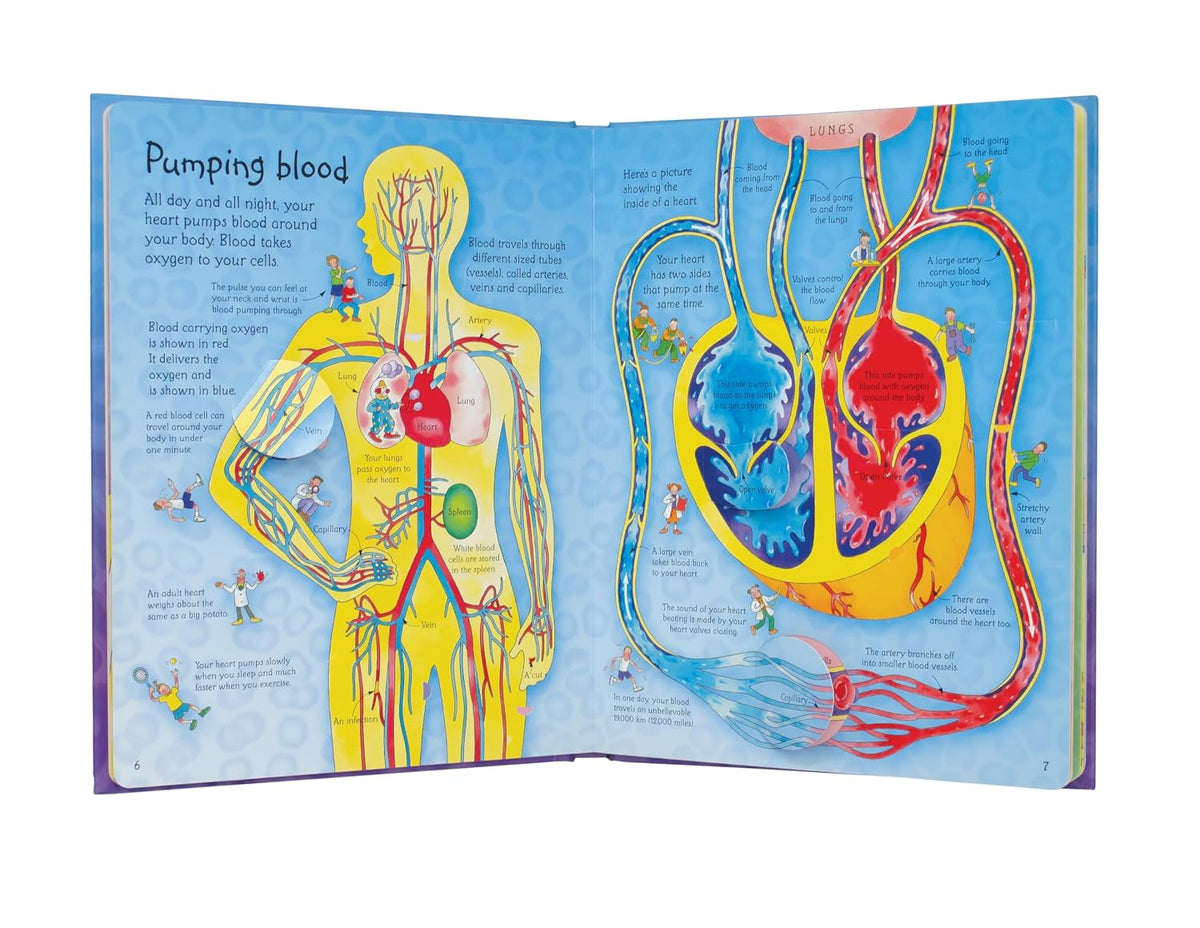 See Inside Your Body: An Interactive Flap Book About Anatomy and Organs for Curious Children (Ages 6-9)