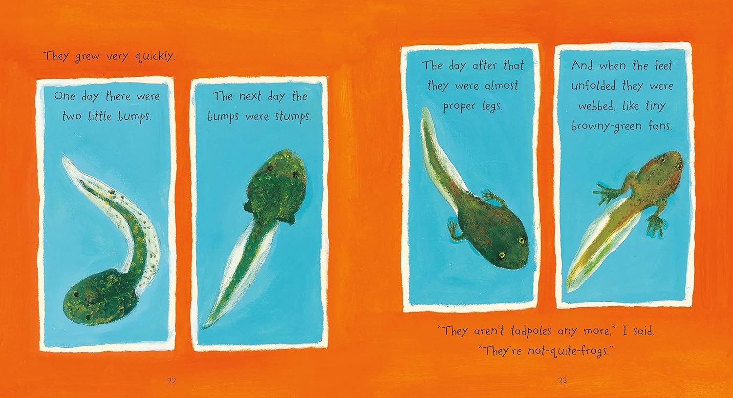 Growing Frogs (Our Stories)