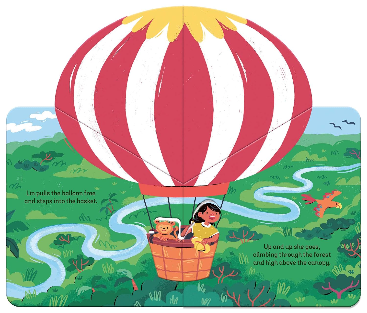 Zoom: Rainforest Adventure