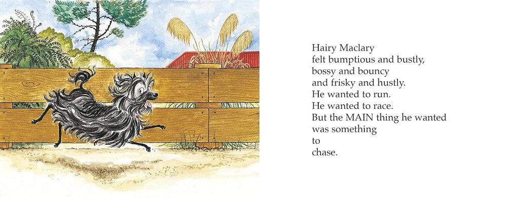 Hairy Maclary Scattercat (Hairy Maclary and Friends)