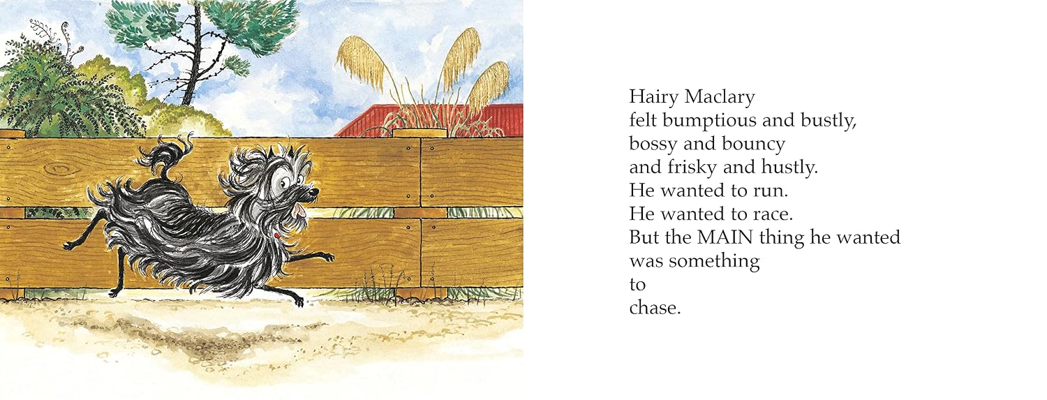 Hairy Maclary Scattercat (Hairy Maclary and Friends)