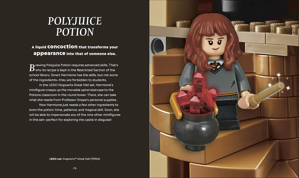 LEGO Harry Potter The Magical Guide to the Wizarding World