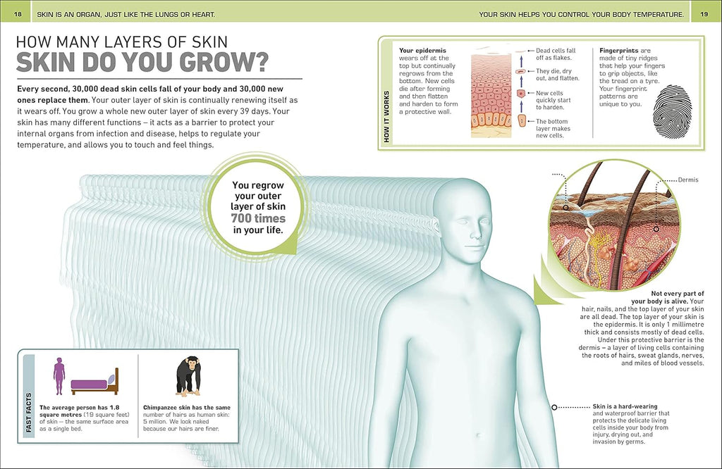 It Can't Be True! Human Body!: 1,000 Amazing Facts About You