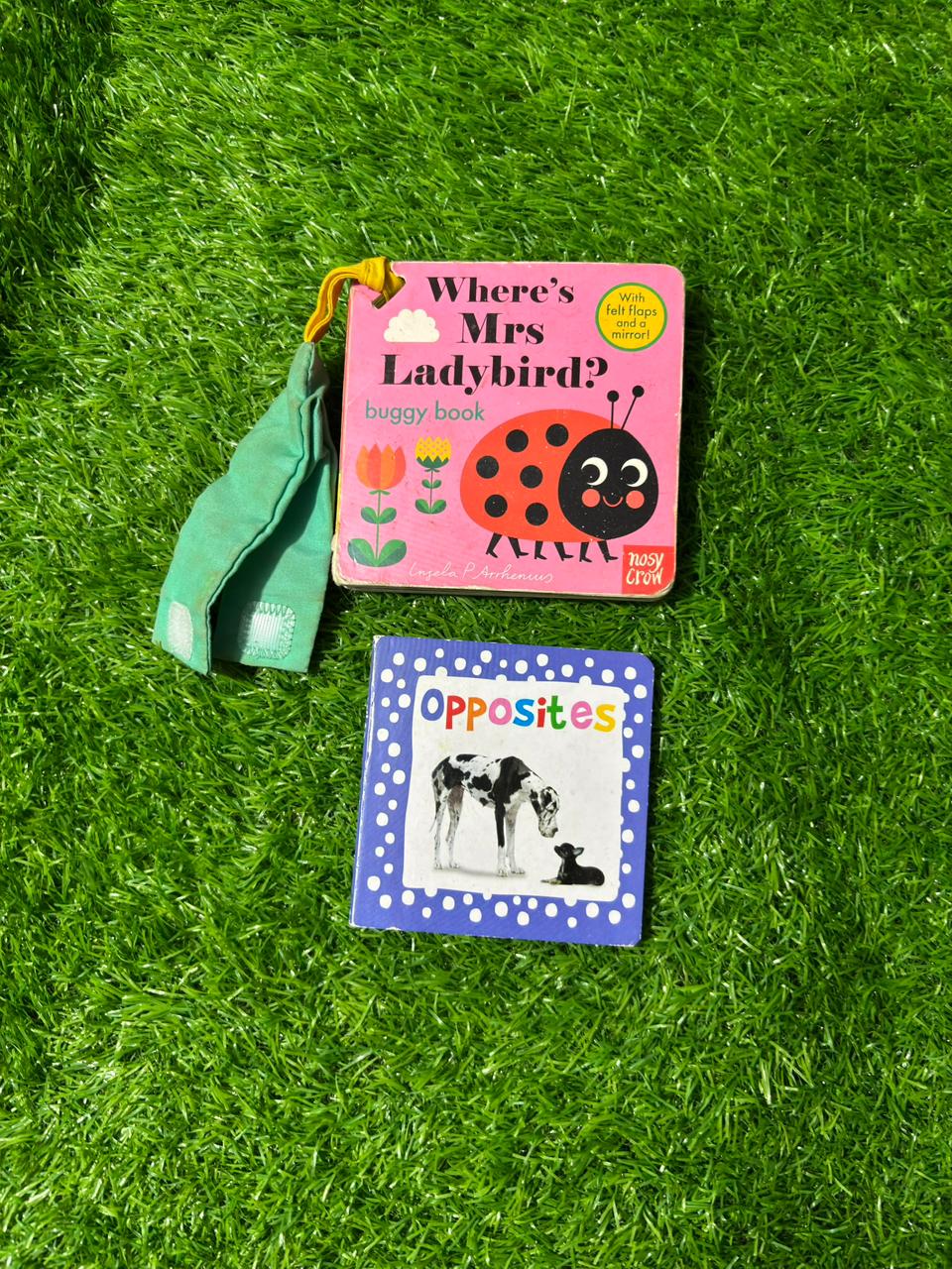 Pack of 2 Mini Board Book Preloved
