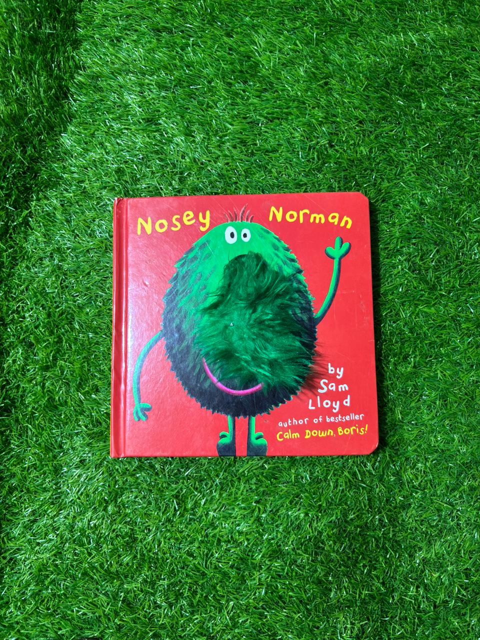 Nosey Norman Board Book (Preloved)