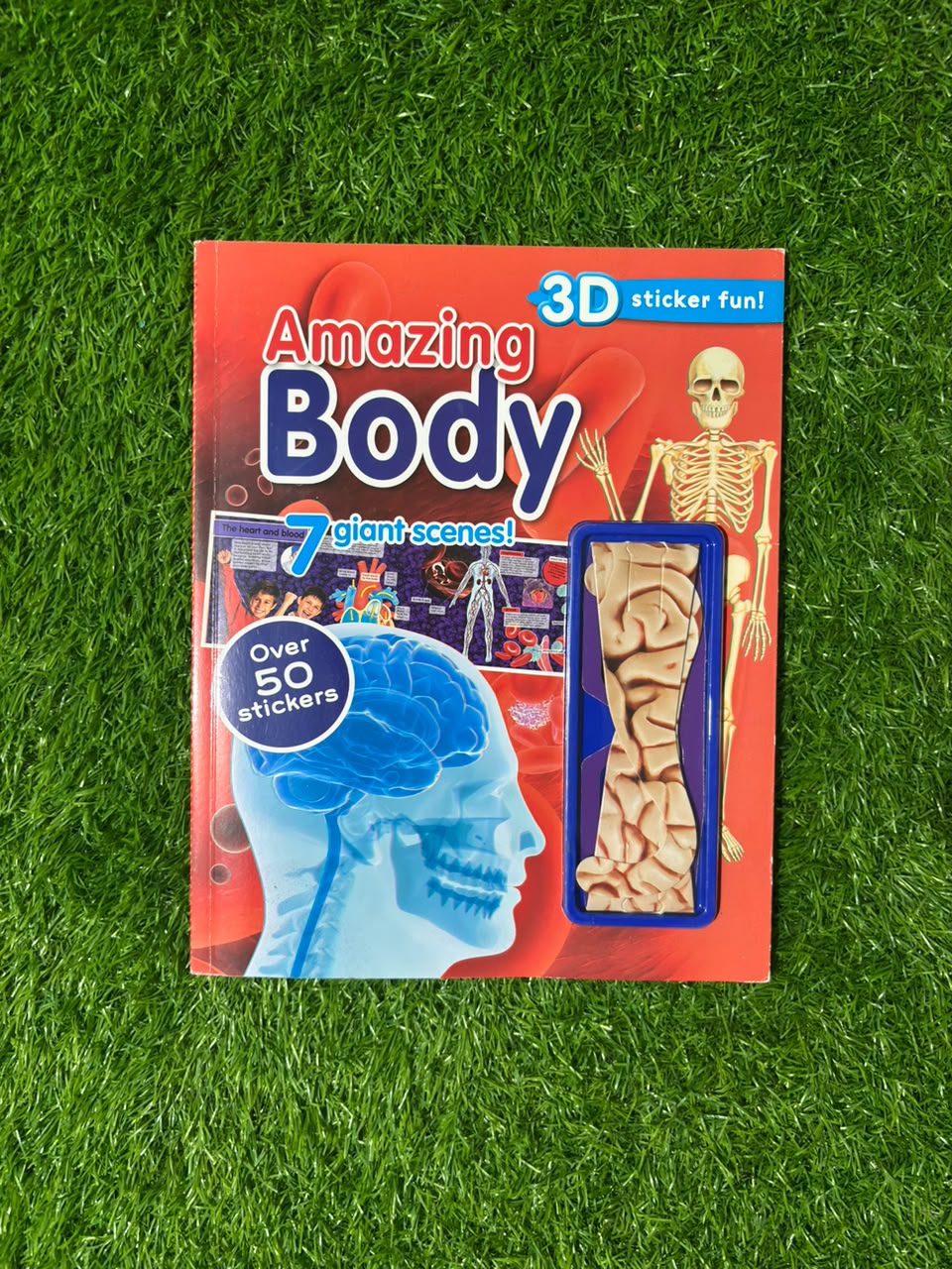 Amazing Body 3D Sticker Fun