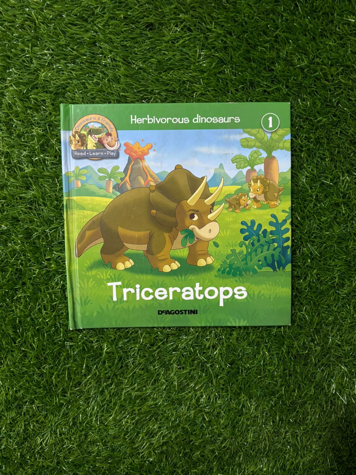 Herbivorous dinosaurs - Triceratops