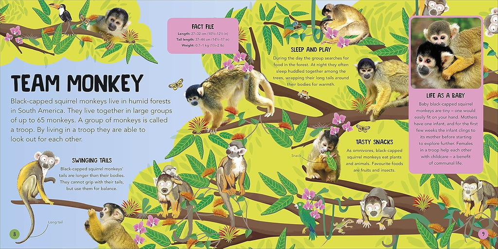 Animal Teams: How Amazing Animals Work Together in the Wild