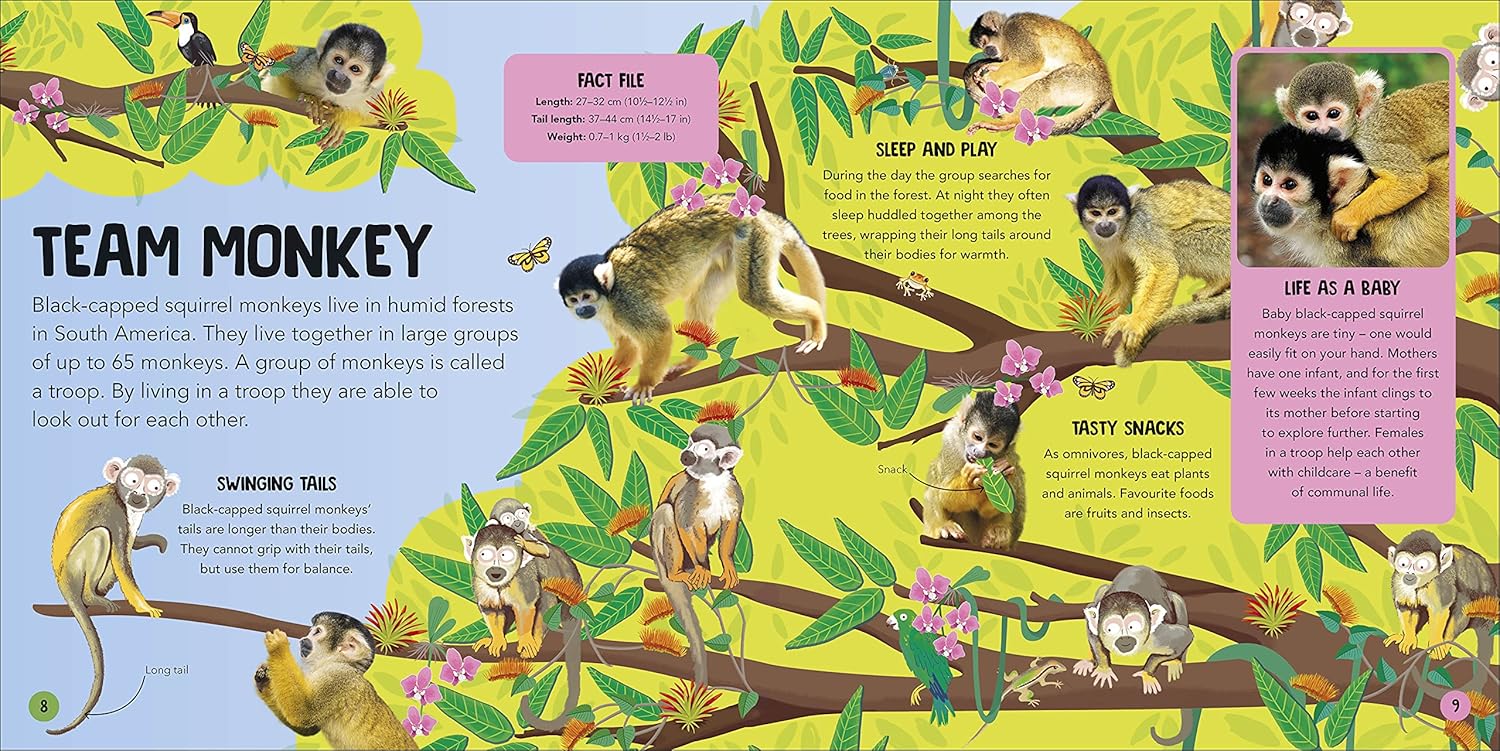 Animal Teams: How Amazing Animals Work Together in the Wild