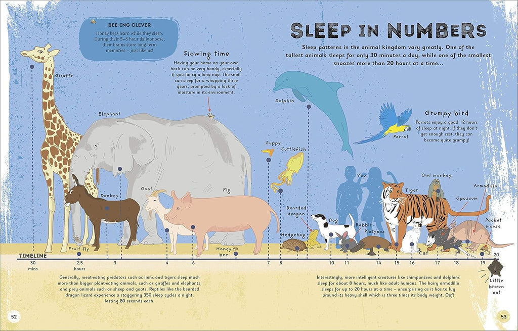 The Magic of Sleep: A fascinating guide to the world of slumber