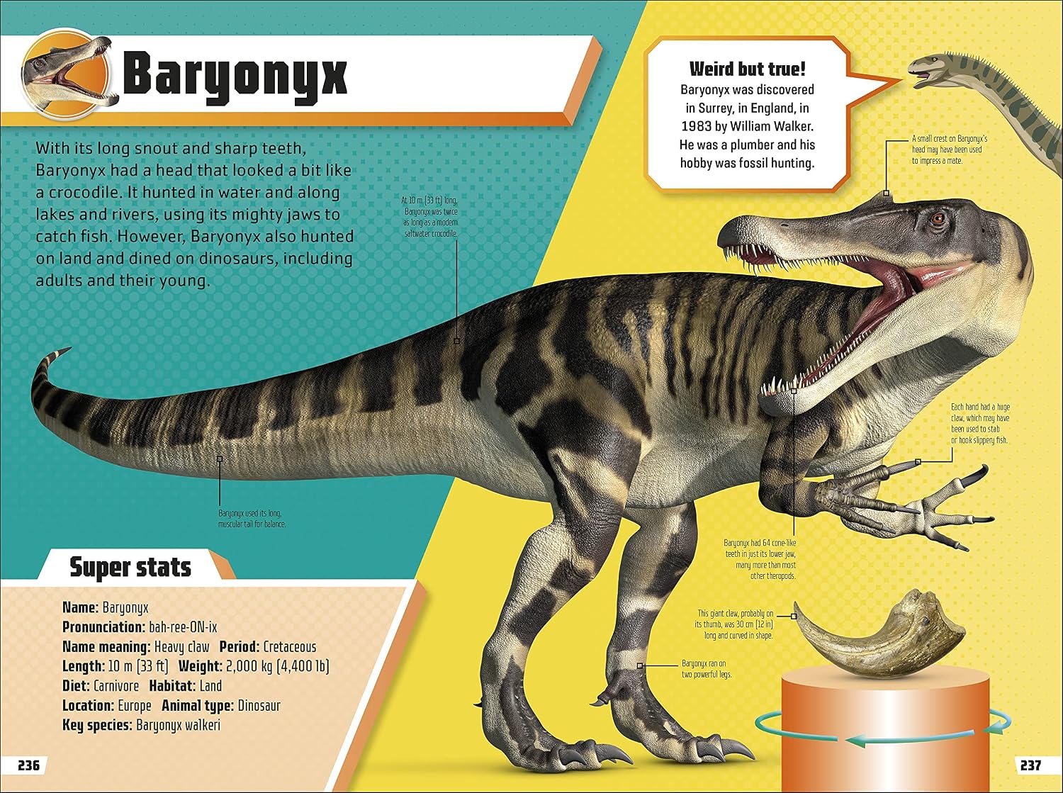 Dinosaur Ultimate Handbook: The Need-To-Know Facts and Stats on Over 150 Different Species (DK's Ultimate Handbooks)