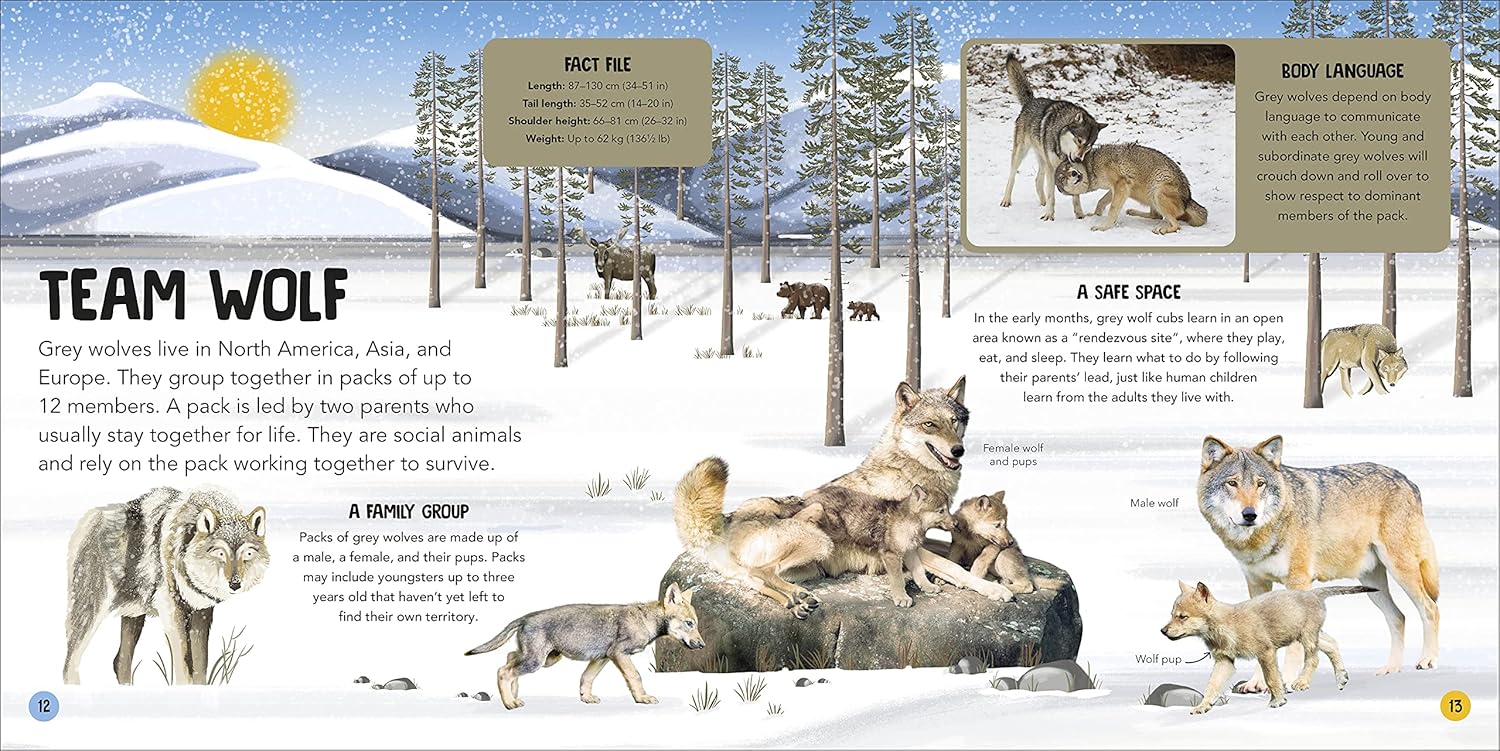 Animal Teams: How Amazing Animals Work Together in the Wild