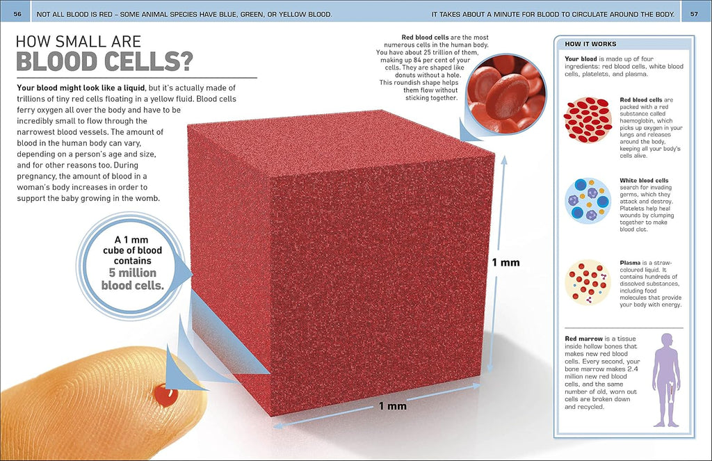 It Can't Be True! Human Body!: 1,000 Amazing Facts About You