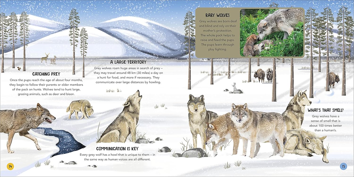 Animal Teams: How Amazing Animals Work Together in the Wild