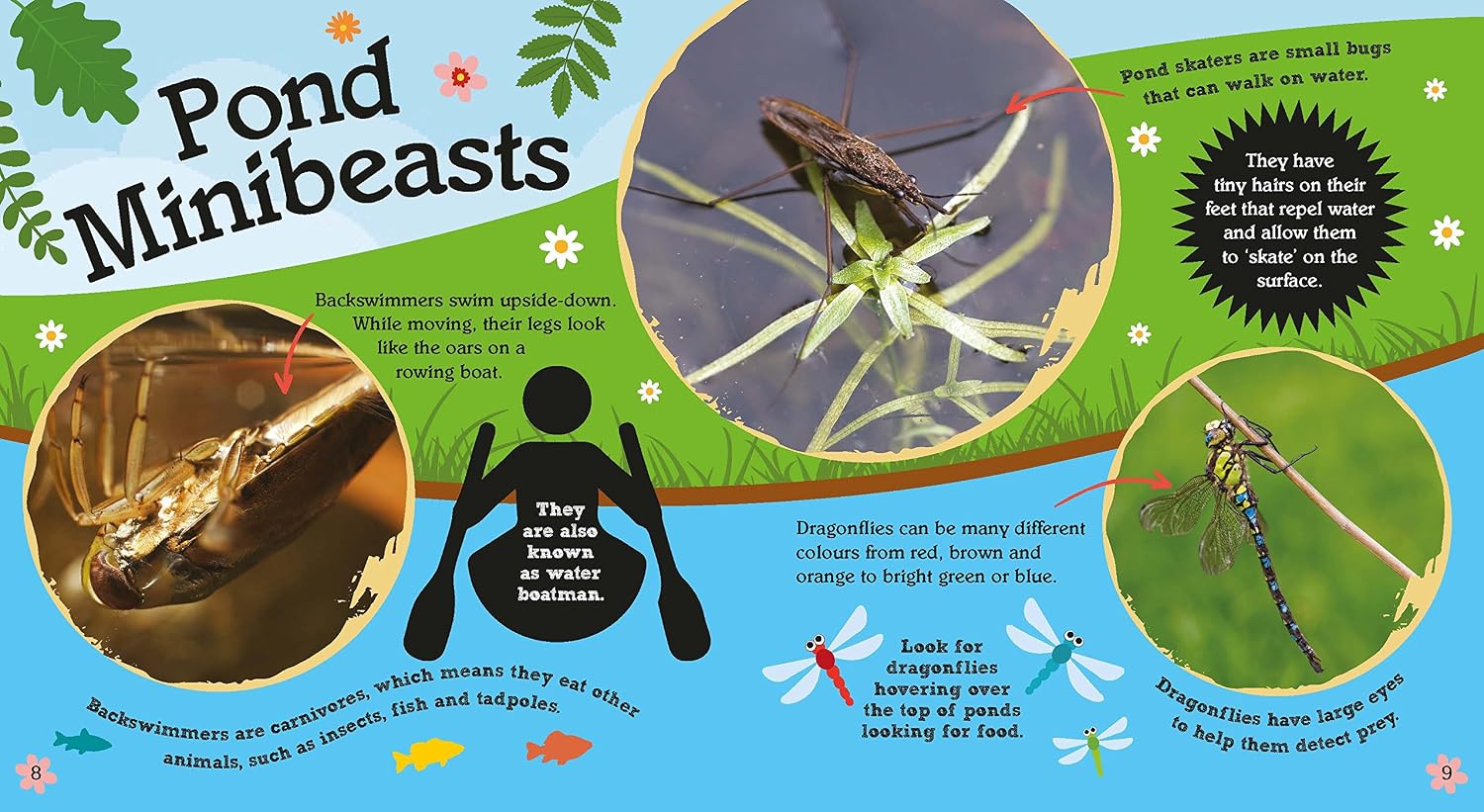 My First Book of Nature: Minibeasts