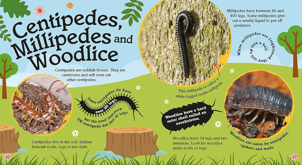 My First Book of Nature: Minibeasts