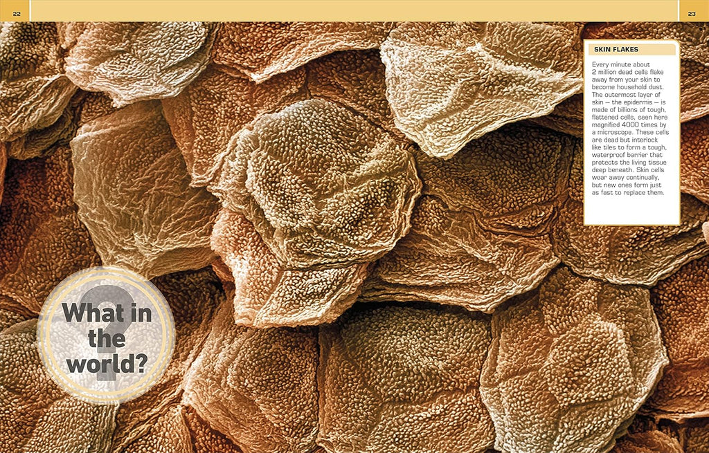 It Can't Be True! Human Body!: 1,000 Amazing Facts About You