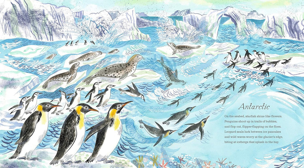 First Book of the Sea