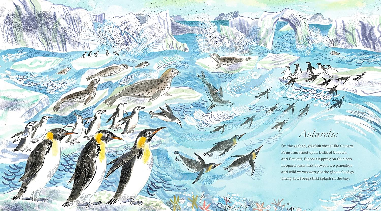 First Book of the Sea