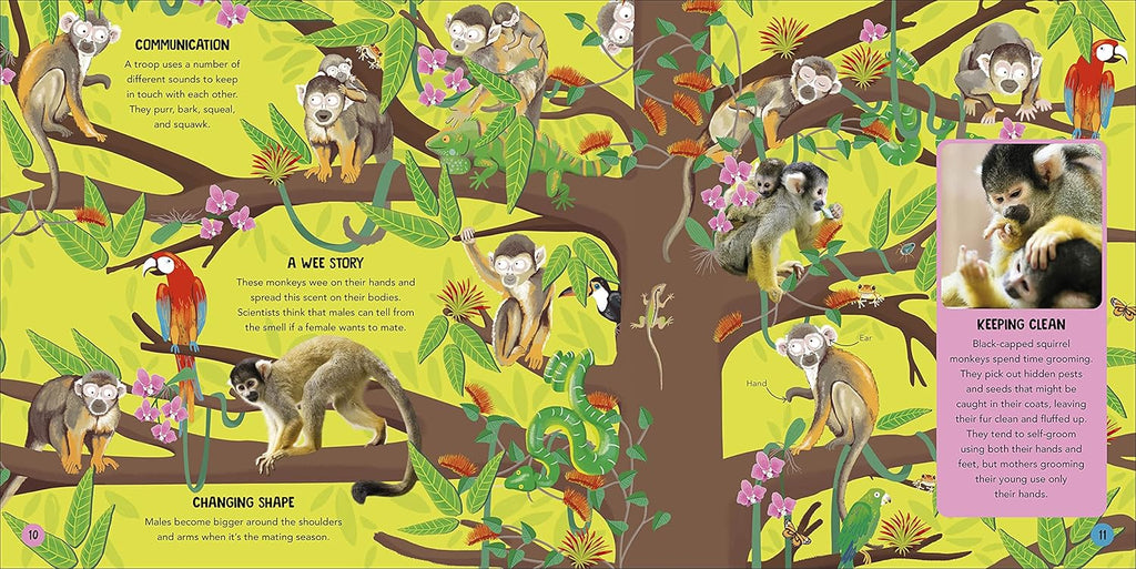 Animal Teams: How Amazing Animals Work Together in the Wild