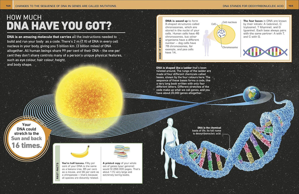 It Can't Be True! Human Body!: 1,000 Amazing Facts About You