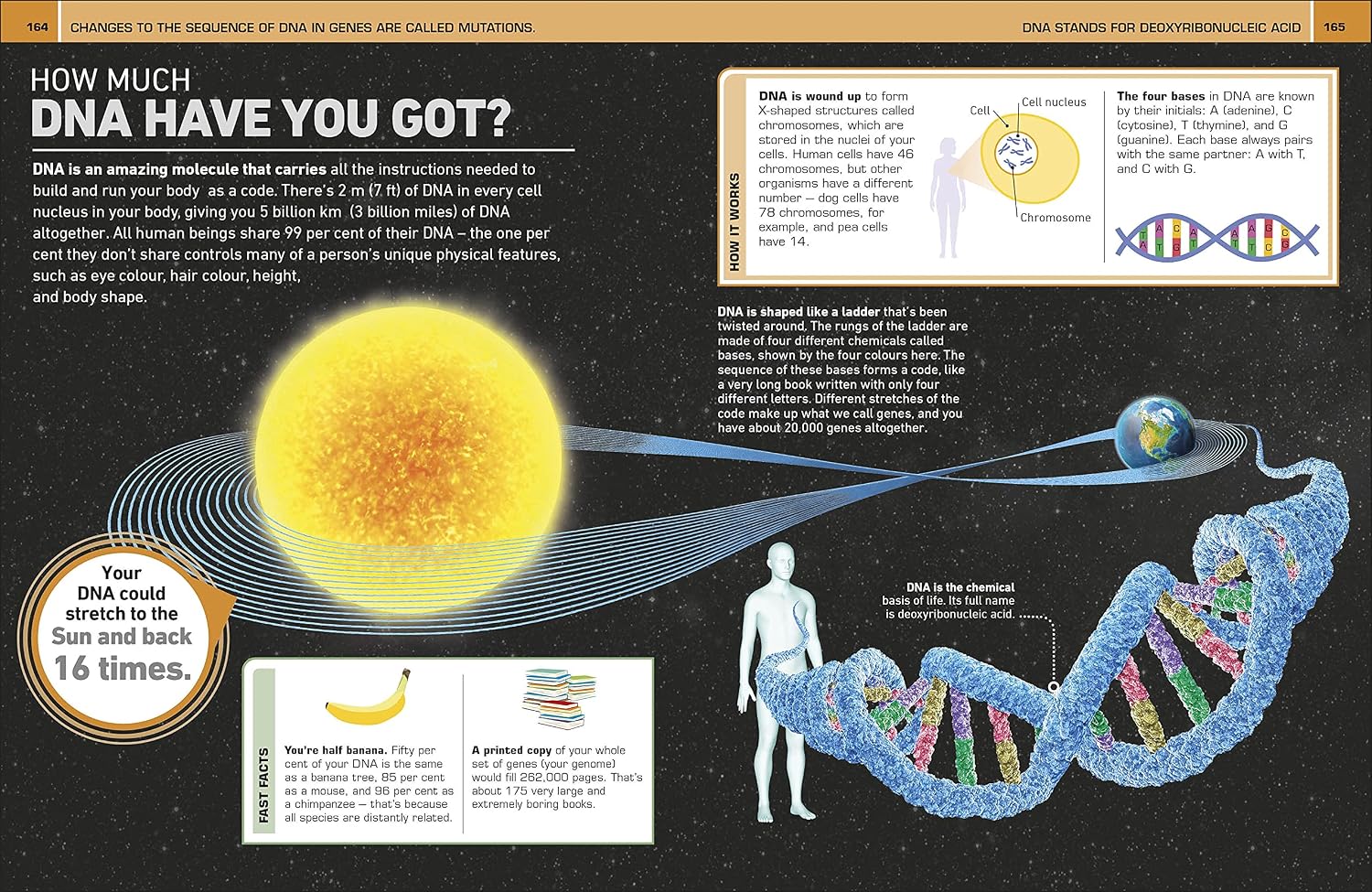 It Can't Be True! Human Body!: 1,000 Amazing Facts About You
