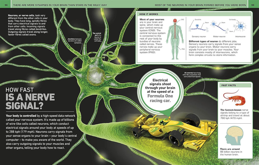 It Can't Be True! Human Body!: 1,000 Amazing Facts About You