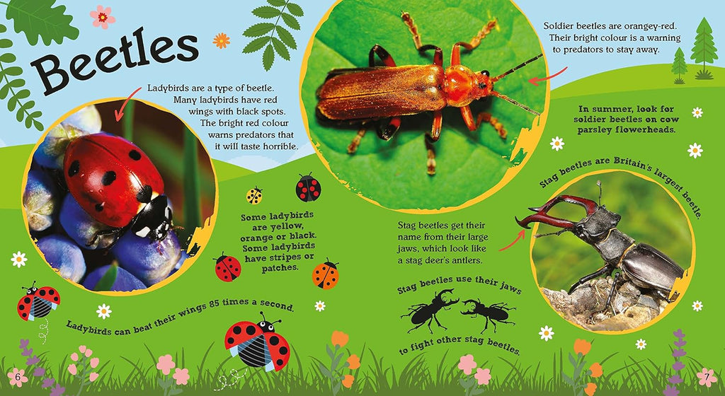 My First Book of Nature: Minibeasts