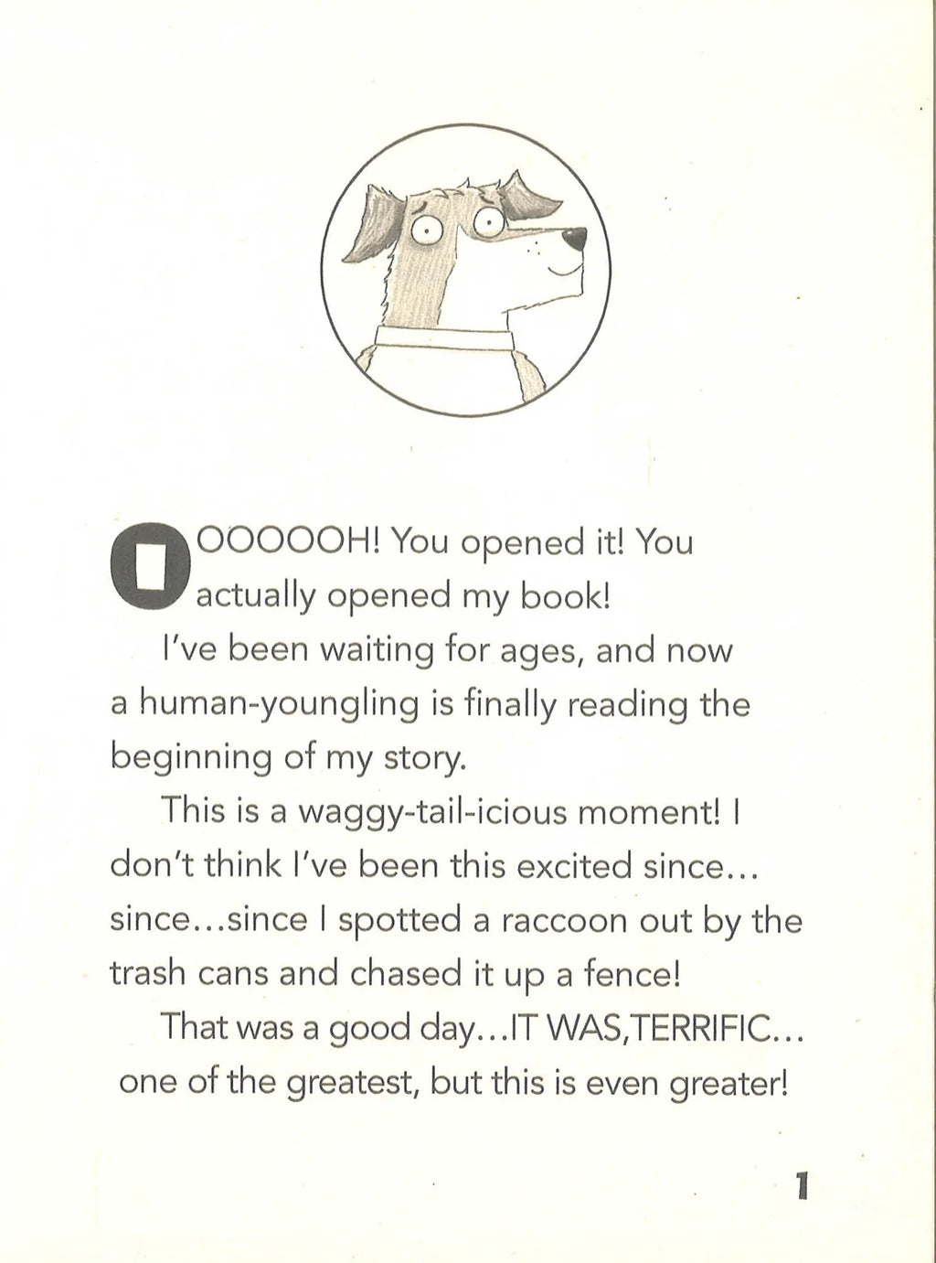 Dog Diaries (New)