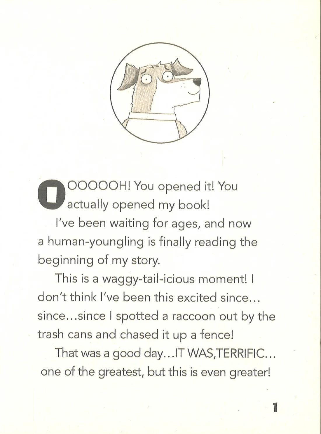 Dog Diaries (New)