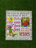 Flies Can