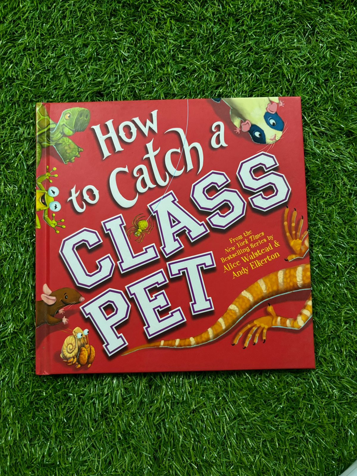 How to Catch a Class Pet: A Back to School Adventure for Kids