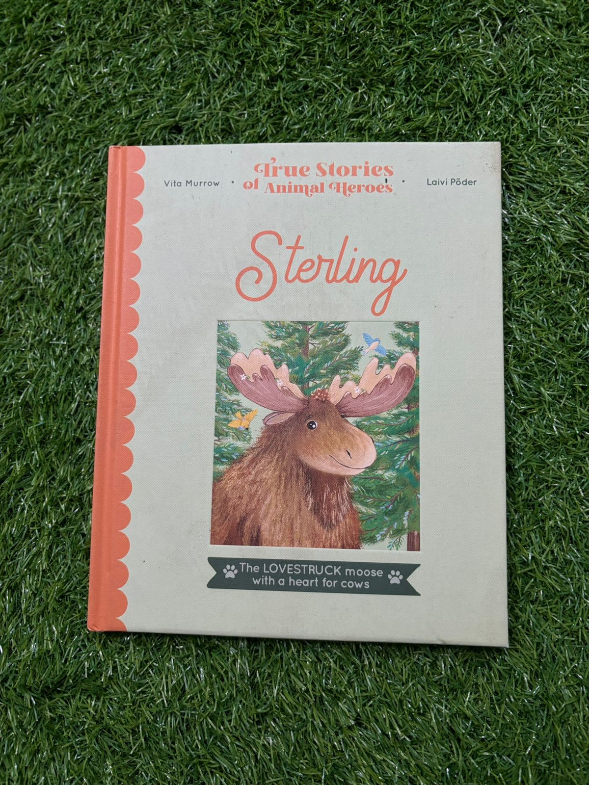 Sterling: The lovestruck moose with a heart for cows (True Stories of Animal Heroes)