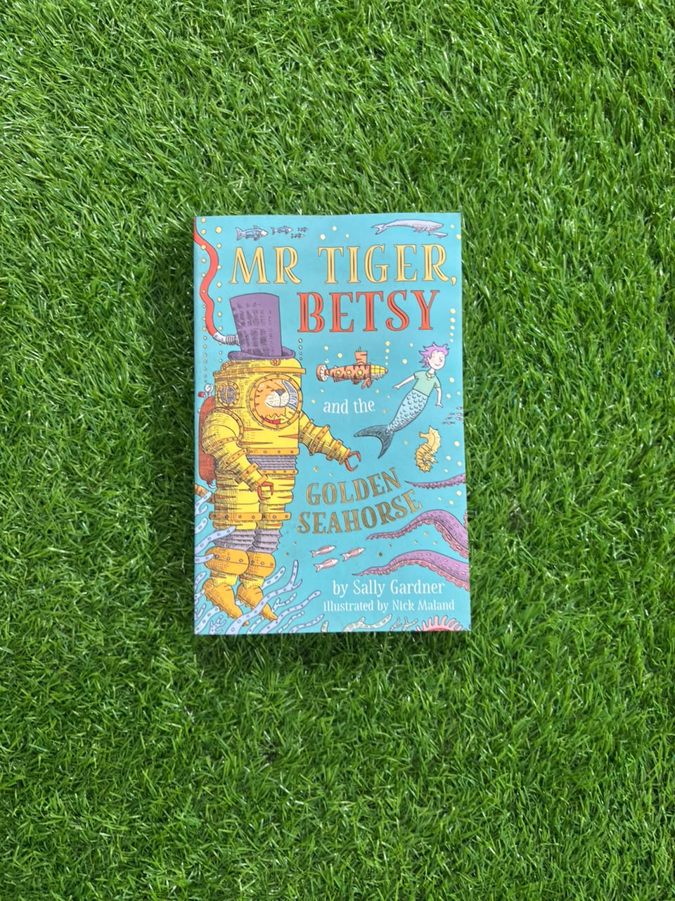 Mr Tiger, Betsy and the Golden Seahorse (Mr Tiger 3)